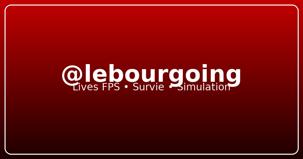Avatar TikTok @lebourgoing